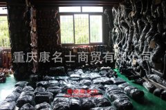 粵海YH5050XKC02勘察車用的慶鈴4JB1-T發(fā)動機的保養(yǎng)及配件