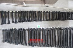 野駝DQG5250XJL計量車用的濰柴WP10.300N發動機的配件及修理