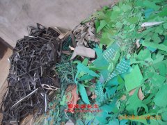 鯨象AS5091ZLJ自卸式垃圾車用的一汽CA6DE3-16E3發動機的配件及修理